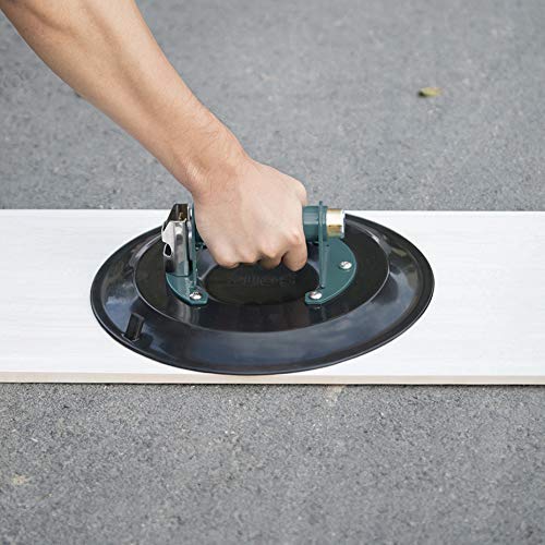 suction cup